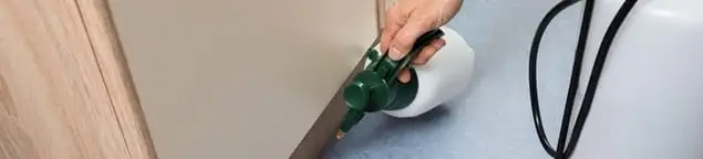 Bed bug exterminator treating baseboards and cracks with targeted spray in Pueblo, CO