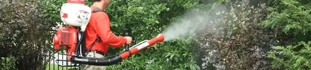 Mosquito control technician fogging shrubs and landscaping for mosquito treatment in Pueblo, CO