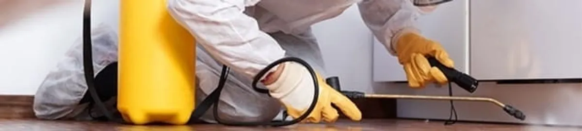 Roach exterminator treating cracks and crevices along kitchen baseboards in Pueblo, CO