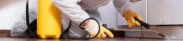 Roach exterminator treating cracks and crevices along kitchen baseboards in Pueblo, CO