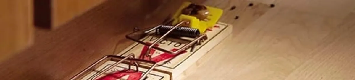 Rodent trap set indoors for rodent control and prevention in Pueblo, CO