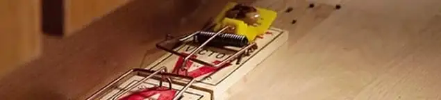 Rodent trap set indoors for rodent control and prevention in Pueblo, CO